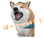 789901358