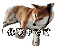 789901361