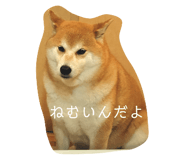 789901362