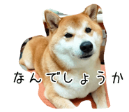 789901364
