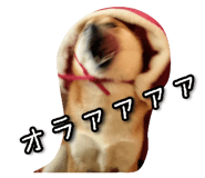 789901366