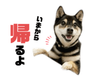 789923919