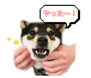 789923932