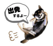 789923933