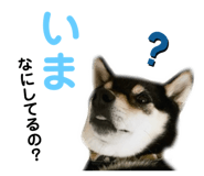 789923935