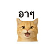 789932137