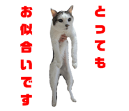 789933537