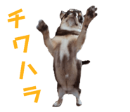 789933538