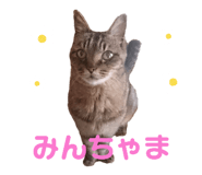 789933544