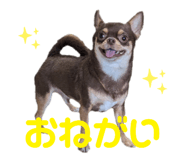 789933545