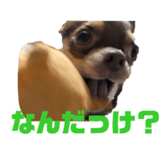 789933552