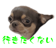 789933553