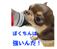 789933568