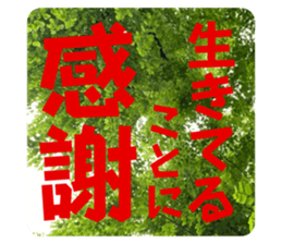 789954255