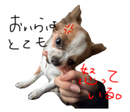 789982343
