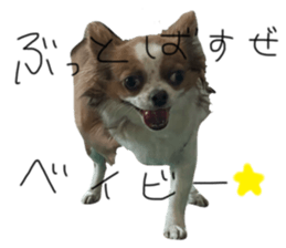 789982352