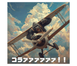 790006771