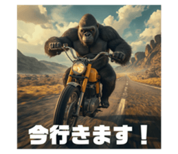 790006774