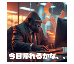 790006775