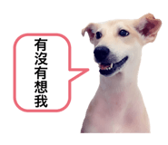 790009019