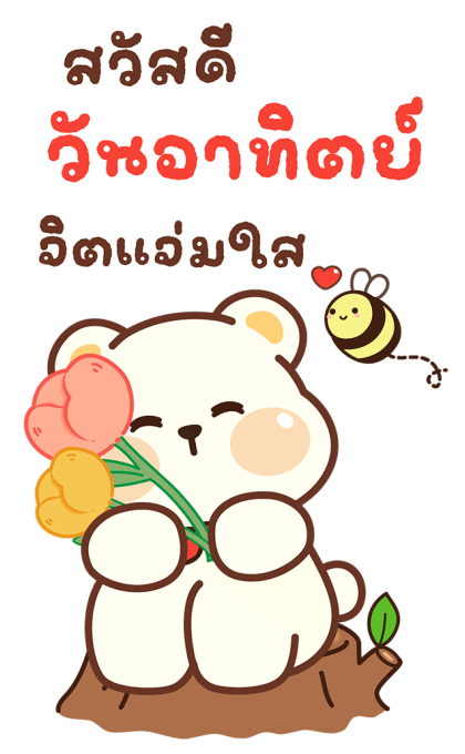 ลายที่ 13