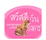 790053970