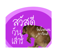 790053974