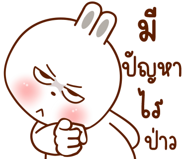 ลายที่ 13
