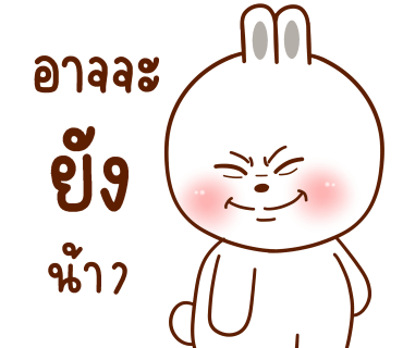 ลายที่ 23