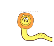 790082416