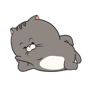 Boogie : Latian รูปที่ 13