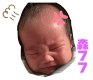 790120331