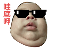 790120335