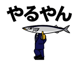 79013767