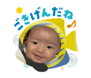 790144237