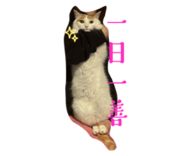 790151283