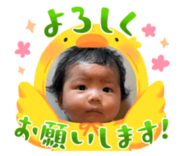 790173525