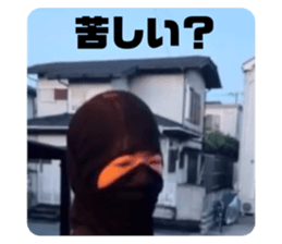 790178538