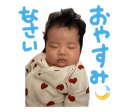 790187026