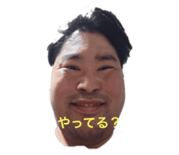790193339