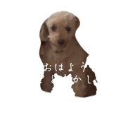 790204202