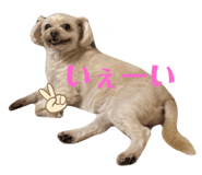 790204217