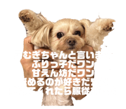790204226