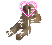790204228