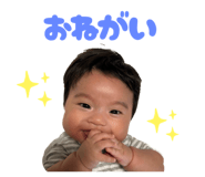 790216526