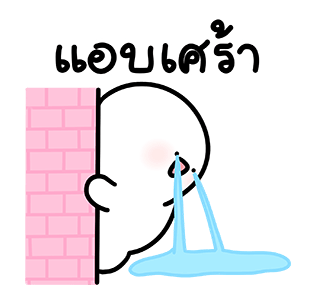 ลายที่ 19