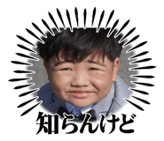 790223982