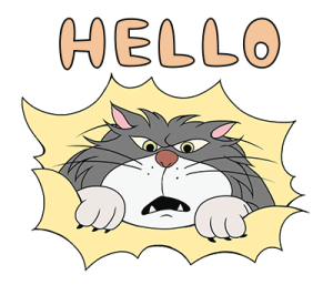 ลายที่ 17