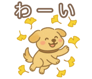 790244399