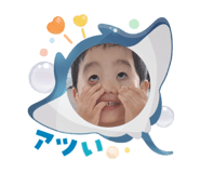 790249604